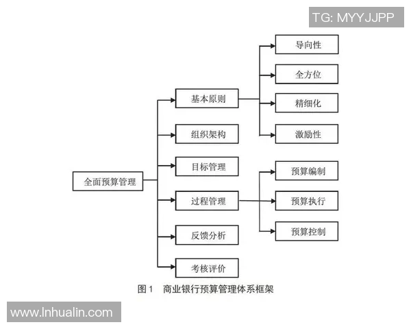重庆足球队的节奏解析与发展展望：从历史到未来的全面探讨