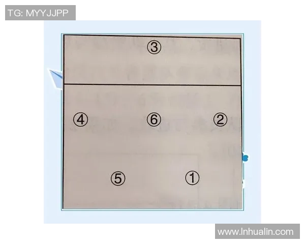 杭州排球队在冠军赛中的节奏表现分析与战术探讨